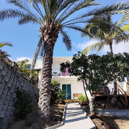 Studios Panoramik Saint-Leu Eksteriør billede